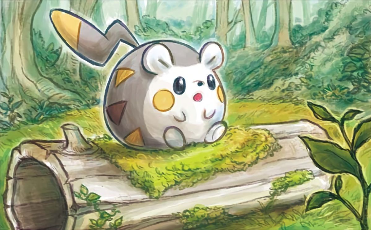 Student Grad Hub — Togedemaru